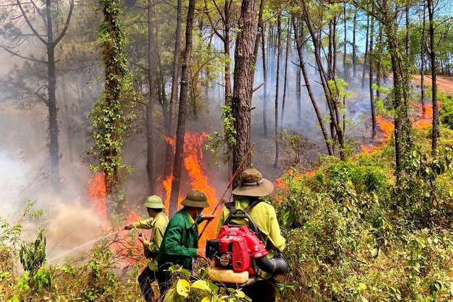 Nhiều đám cháy rừng dữ dội bùng phát suốt đêm ở Thừa Thiên Huế